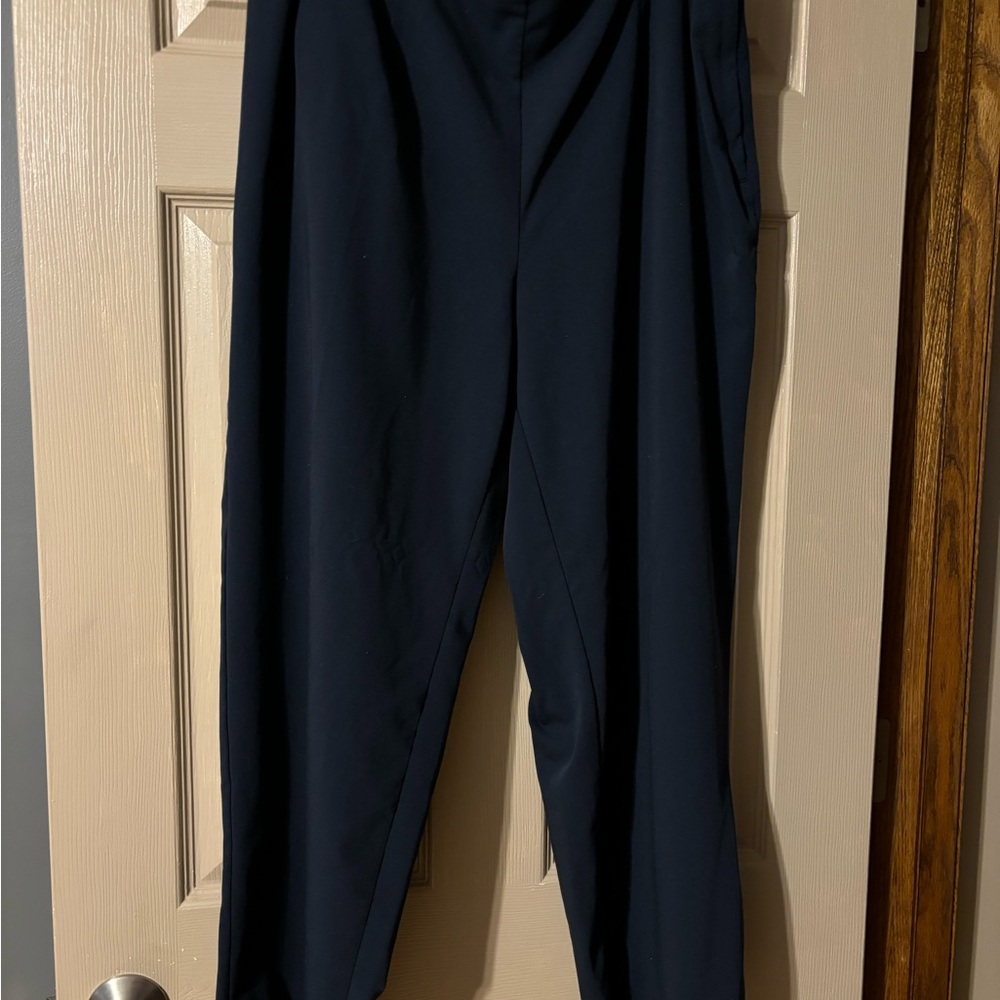 Avenue Black Ankle Pants